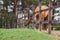 Red mare horse leaning out from paddock in spring