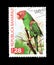 Red masked parakeet on postage stamp