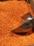 Red masoor lentil being picked to be sold by weight by an iron scoop in a wholesale market