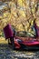 Red McLaren 650S Exotic Car in an autumn forest with colorful trees, vertical