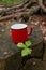 Red metal camping or picnic adventure mug or cup. Day time green forest setting, no people