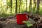 Red metal camping or picnic adventure mug or cup. Day time green forest setting, no people