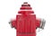 Red metallic fire hydrant or Fire Department Connection isolated