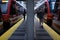 Red metro trains passing in two lanes and people walking on the platform in the Houston, US