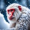 red monkey on snow mountain