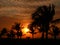 Red morning light at sanibel island