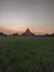 The red mosque surrounded by rice fields is located in Pandaan, Pasuruan district, East Java, Indonesia