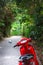 Red motorbike parked in green shady street.