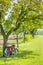 Red motorcycle under green trees