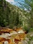 Red Mountain Creek near Silverton, Colorado