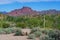 Red Mountain, green brush and saguaro cactus
