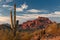 Red Mountain and Saguaro Cactus