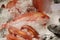 Red mullet on fishmonger\'s slab