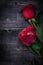 Red natural bloomed roses on wooden background