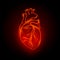Red neon human heart illustration. Anatomical human heart with red line neon effect on black background.
