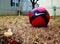 Red Nike Soccer Ball Size 3