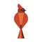 Red Northern Cardinal Icon in Flat Design