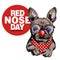 Red nose day poster. Vector hand drawn dog portrait. French bulldog wearing glasses, clown nose and bandana. American