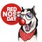 Red nose day poster. Vector hand drawn dog portrait. Siberian husky wearing glasses, clown nose and bandana. American