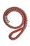 Red nylon dog lead or leash isolated over white