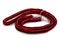 Red nylon dog lead or leash isolated on white background. The leash is red with a black stripe and has two carabiners