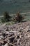 Red oceanic rock overlooks the White Mountains in California. Dirt road below, portrait view