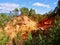 Red ocher cliffs in Rousillon, Provence, France.