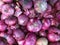 Red Onion background