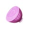 Red onion, fresh vegetable vector Illustration on a white background