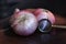 Red onions of Acquaviva delle Fonti Apulia, Italy, composition with magnifying glass.