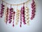 Red Onions, Garlic and Chili necklaces hanging on the rope, isolated in white concrete background. Decoration in Thai restaurant.