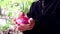 Red onions and leaves in a woman\'s hand