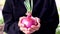 Red onions and leaves in a woman\'s hand