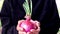 Red onions and leaves in a woman`s hand