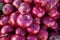 Red onions market close-up