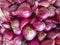 Red onions in plenty on display at local farmer`s market