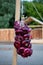 Red onions on a rope
