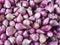 Red onions sell in market