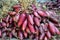 Red onions tied in bundles