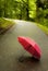 Red open umbrella lying on road among trees in nature