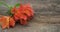 Red Orange Alstroemeria Astromeria flower Arrangement over Rustic wooden Table Flat Lay Copy space