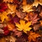 Red and orange autumn leaves background. Outdoor. Colorful backround image of fallen autumn leaves perfect for seasonal
