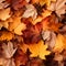 Red and orange autumn leaves background. Outdoor. Colorful backround image of fallen autumn leaves perfect for seasonal