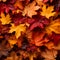 Red and orange autumn leaves background. Outdoor. Colorful backround image of fallen autumn leaves perfect for seasonal