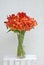 Red Orange Beautiful Alstromeria Lily Flower Bouquet Neutral Gray Wall Background. Toned. Spring Summer time.