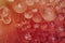 Red orange colorful bubbles - Abstract background