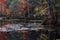 Red, orange, & golden leaves in the Chagrin Cleveland Metroparks - Ohio - USA