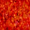 Red orange seamless stained pattern