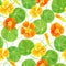 Red, orange, yellow nasturtium flowers and leaves seamless pattern. Hand drawn botanical watercolor illustration with garden