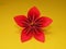 Red origami flower